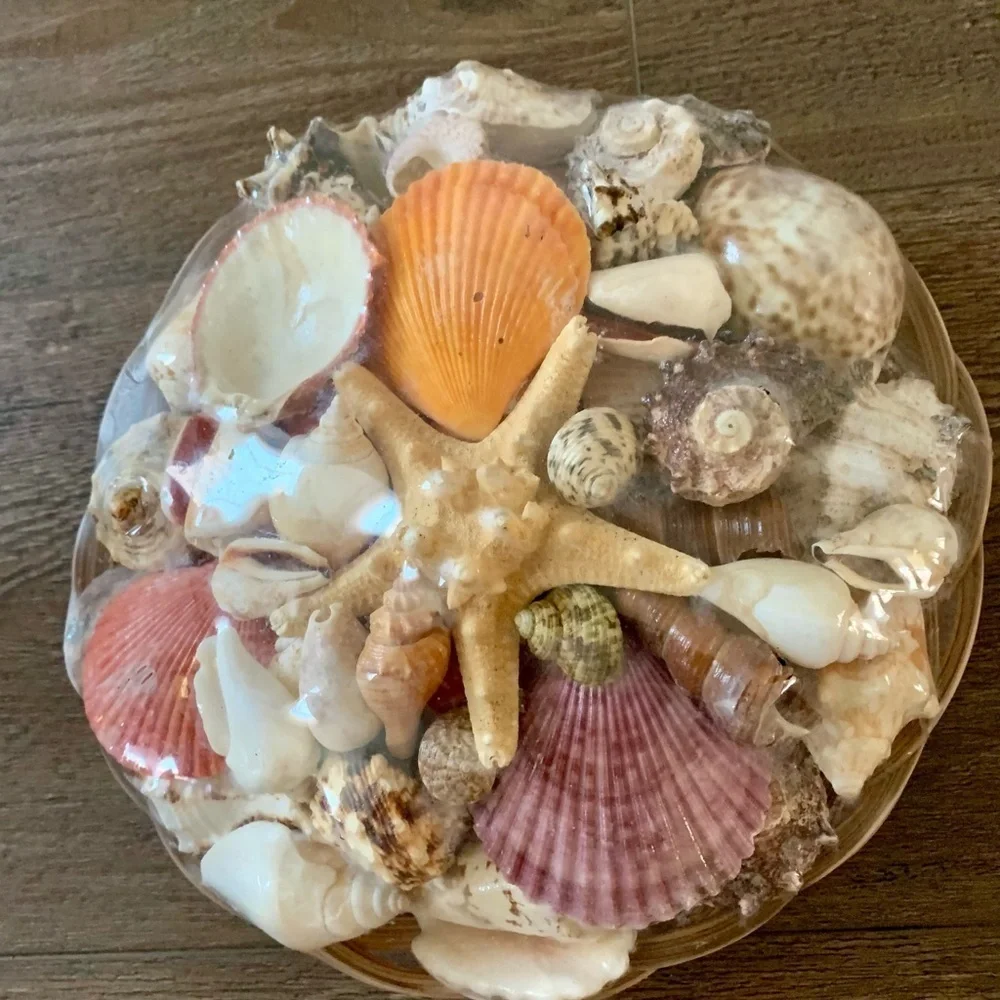 Beach Basket assorted sea Shells
